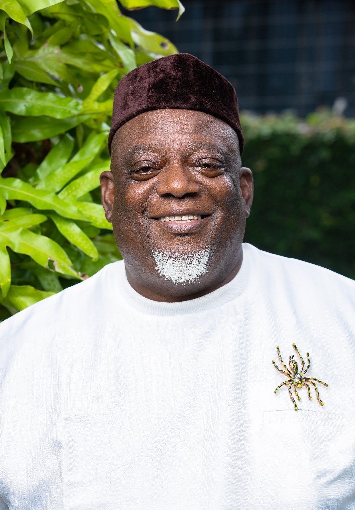 BoG confirms Joe Jackson as Dalex Finance’s new CEO