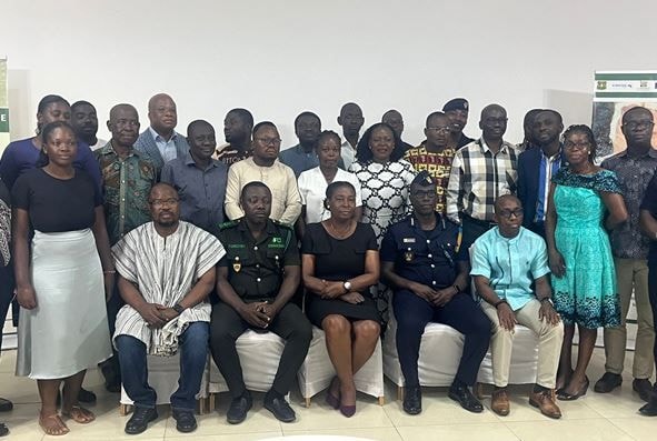 Over US$200m lost annually through timber-trafficking