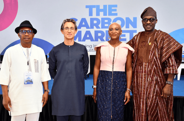 Private sector urged to leverage carbon market for Africa’s sustainable growth