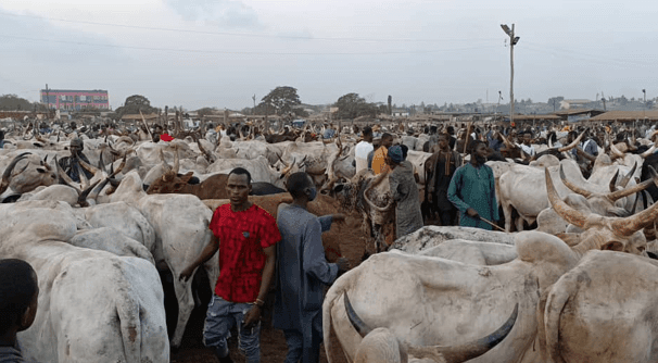 Resetting the economy: livestock industry localisation critical