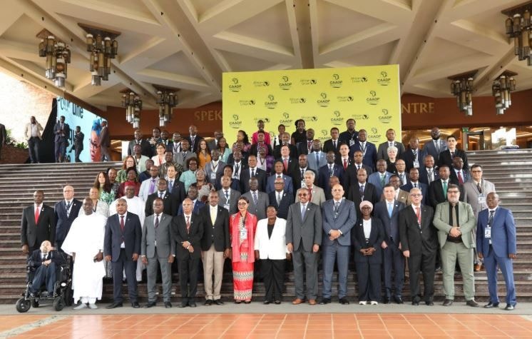 African Union's summit leaves little hope for transforming agriculture in Africa