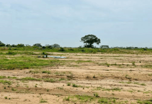 Housing in Ghana: What to look out for when buying land