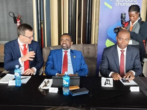 BoG Governor courts private capital