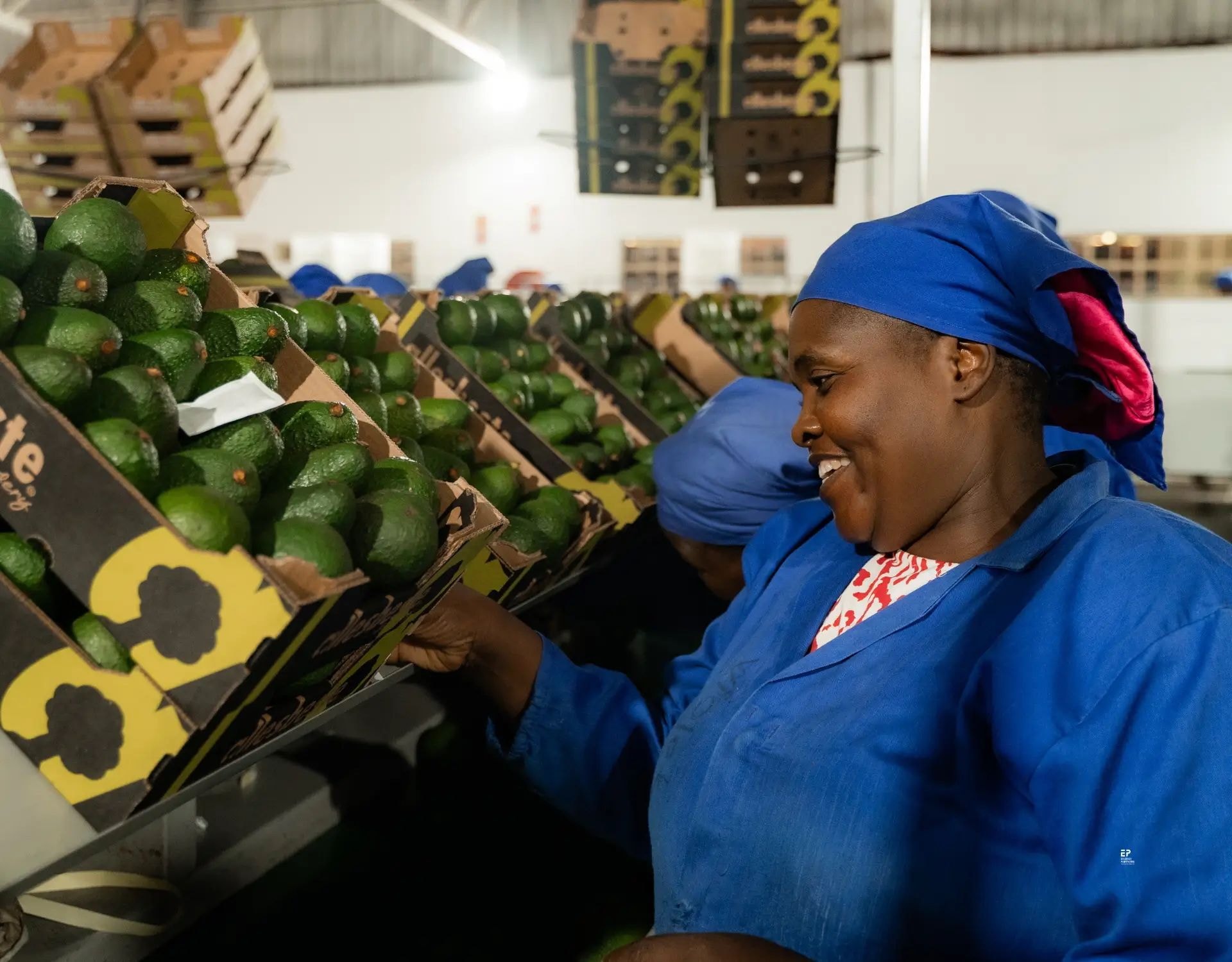 Turning African Food Systems into the Next Big Asset Class