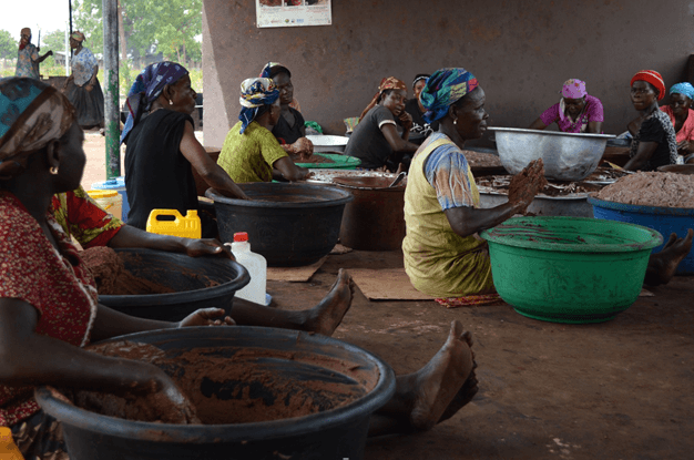 Fixed prices for shea nuts not enough -Industry players