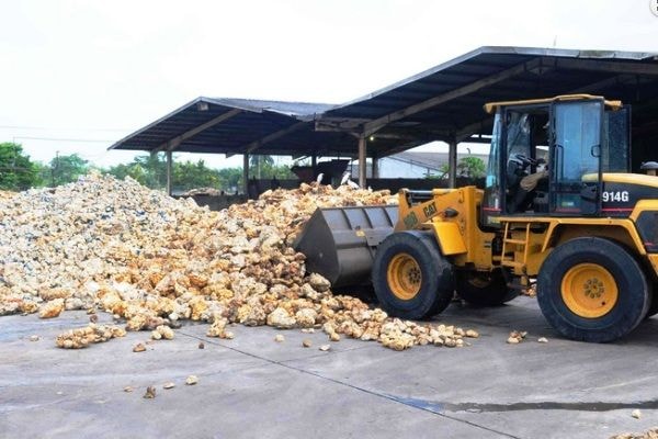 Rubber tension: Why processing factories are struggling to secure supply
