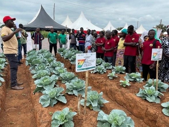 Reaping change: How modern farming is reshaping the vegetable sector