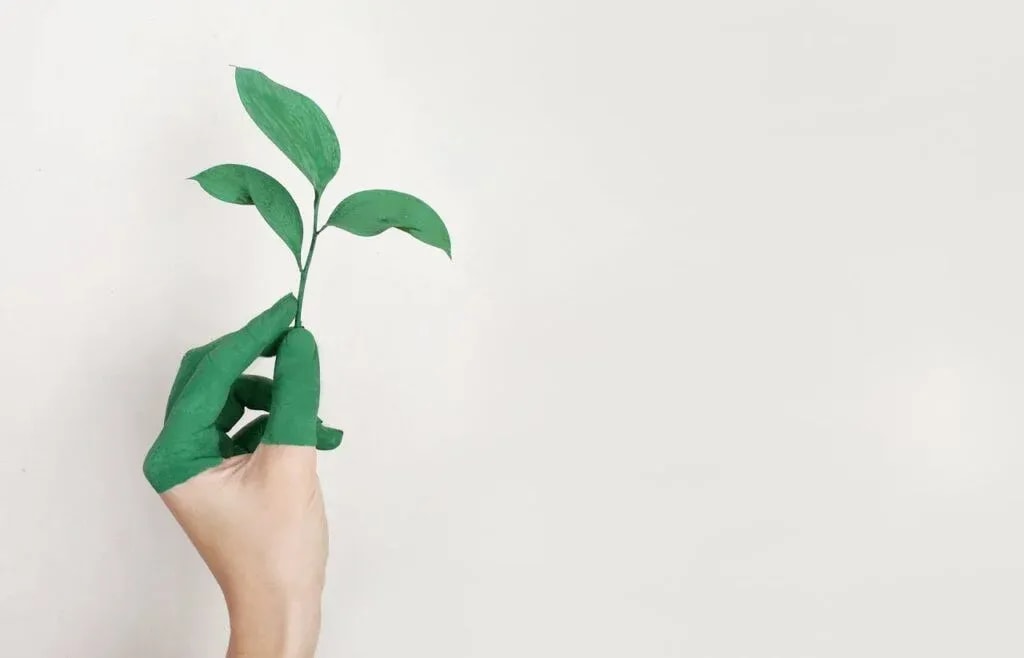 Trust or tarnish: The greenwashing trap