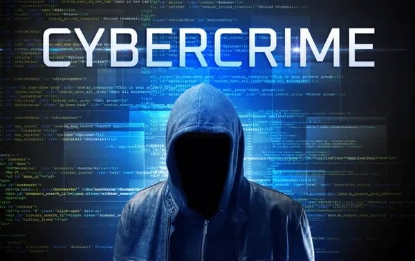 The Economic Impact of Cybercrime