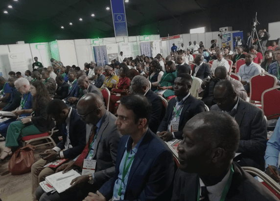 Local industries reel under flood of parallel imports – AGI warns of dire impact on economy                                                                                                                                         