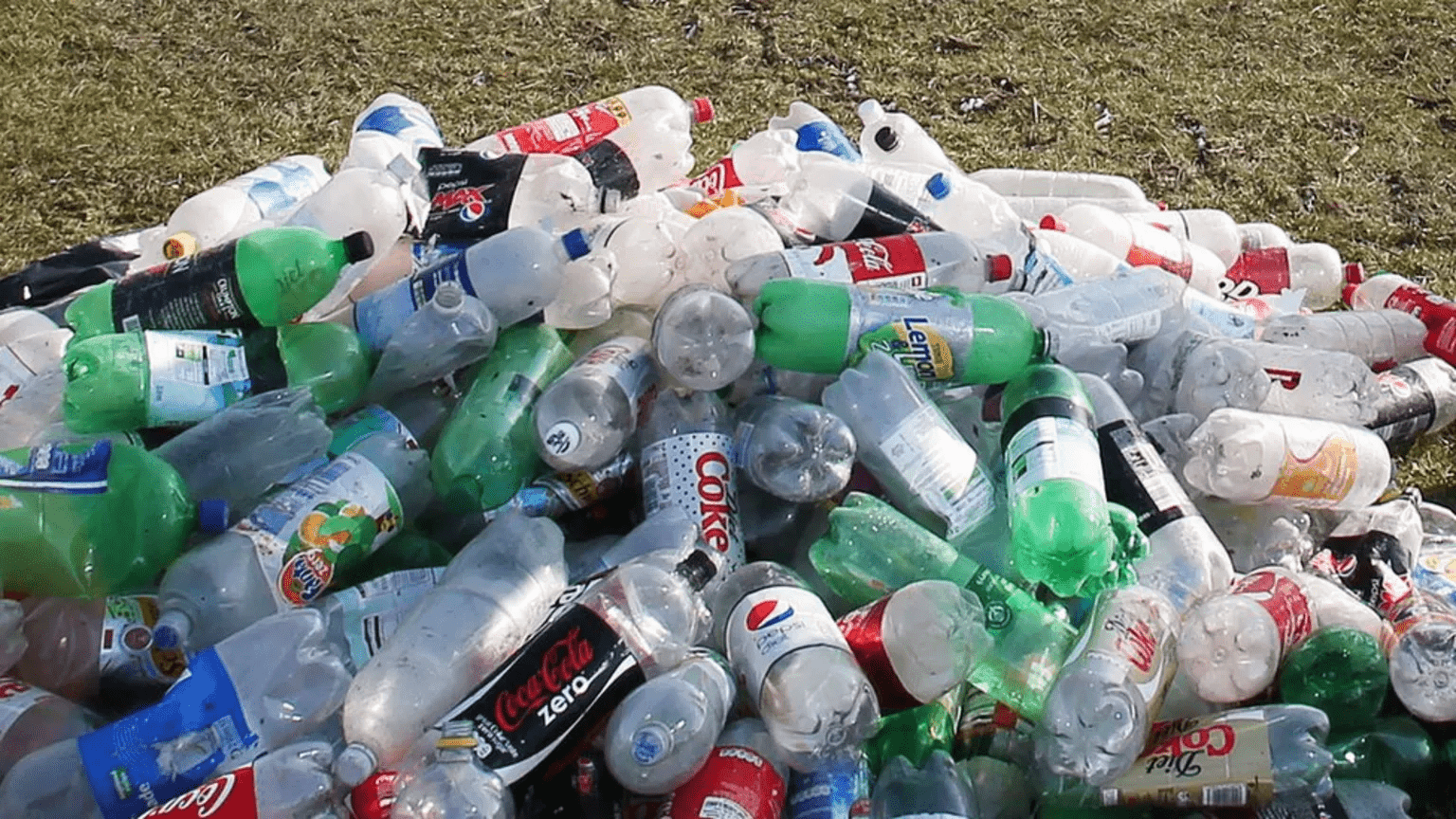 From landfills to livelihoods: Creating 3,000 jobs through plastic recycling