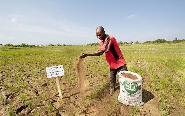 Agricultural development for economic transformation: Policies and enablers