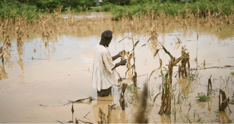 National Farmers’ Day – A celebration built on poisoned soil and toxic rivers