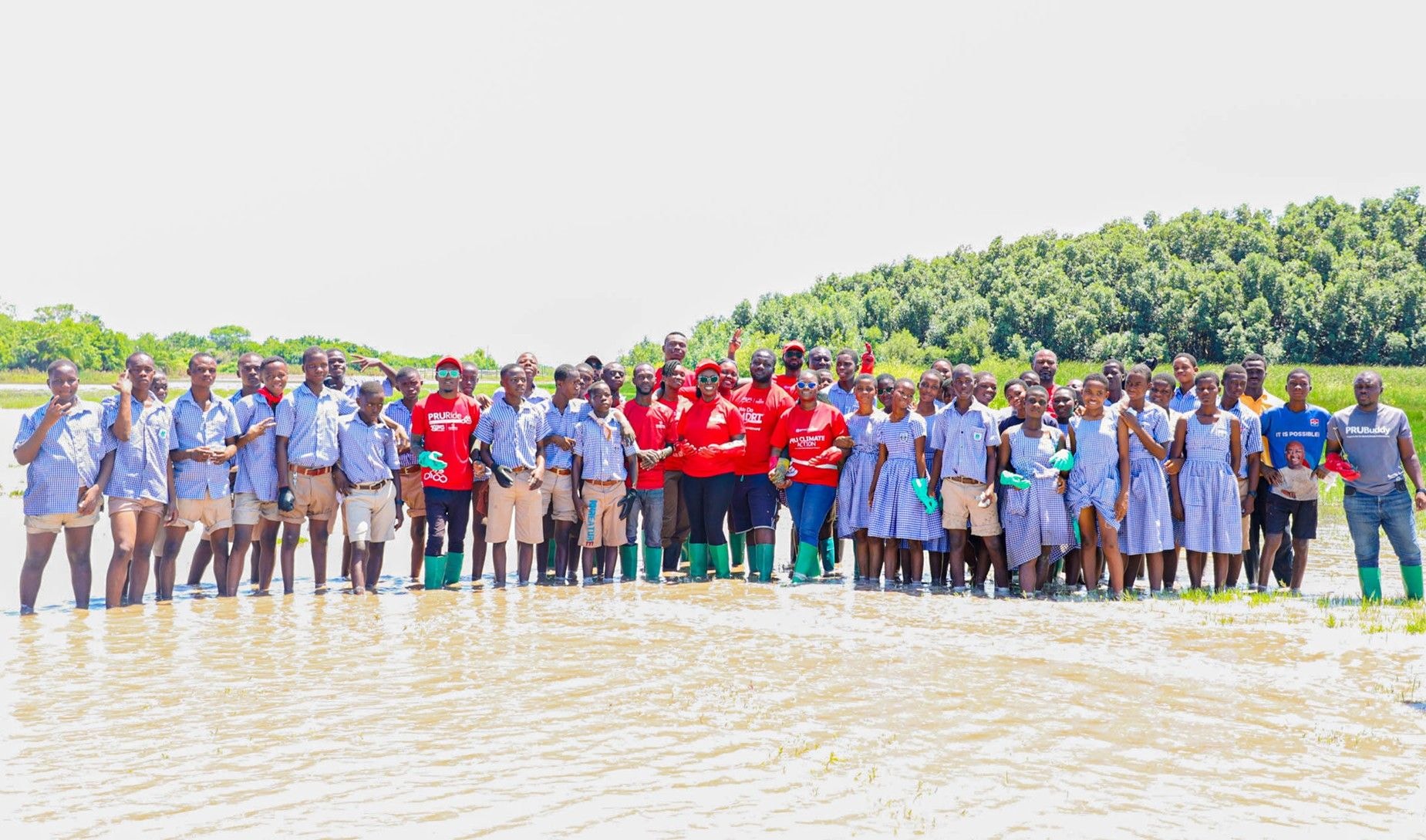 Restoring Wetlands: Prudential Life leads mangrove restoration in Ada area