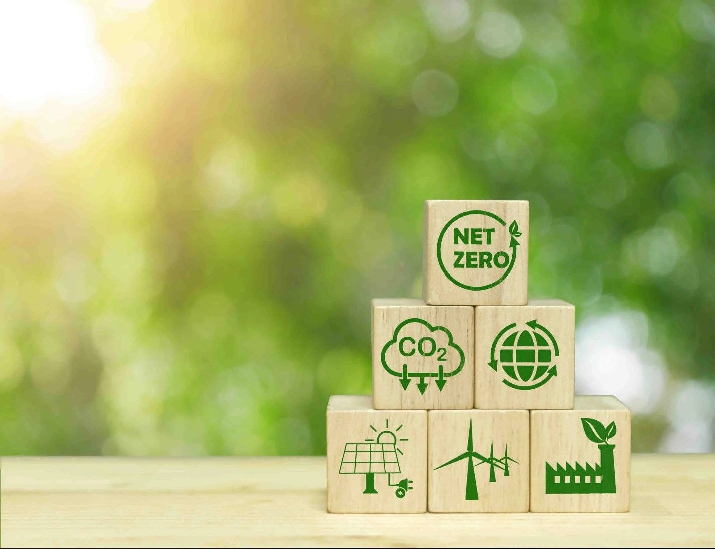 Measuring the success of rPET recycling initiative: Monitoring frameworks for transparency and impact