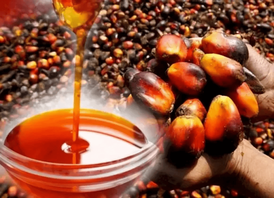 Oil palm farmers worry over increasing smuggling