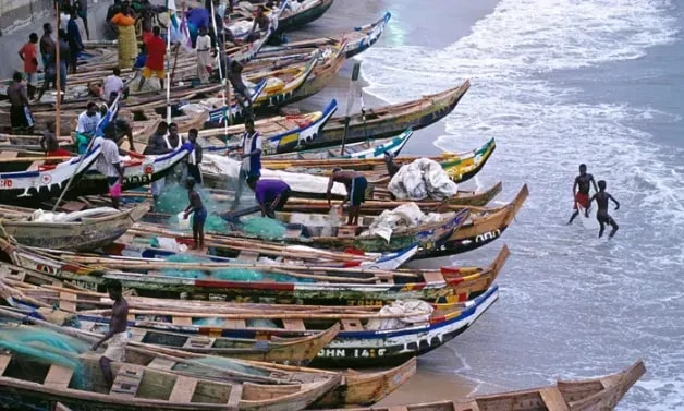 Editorial: Artisanal fishing communities paying a heavy price