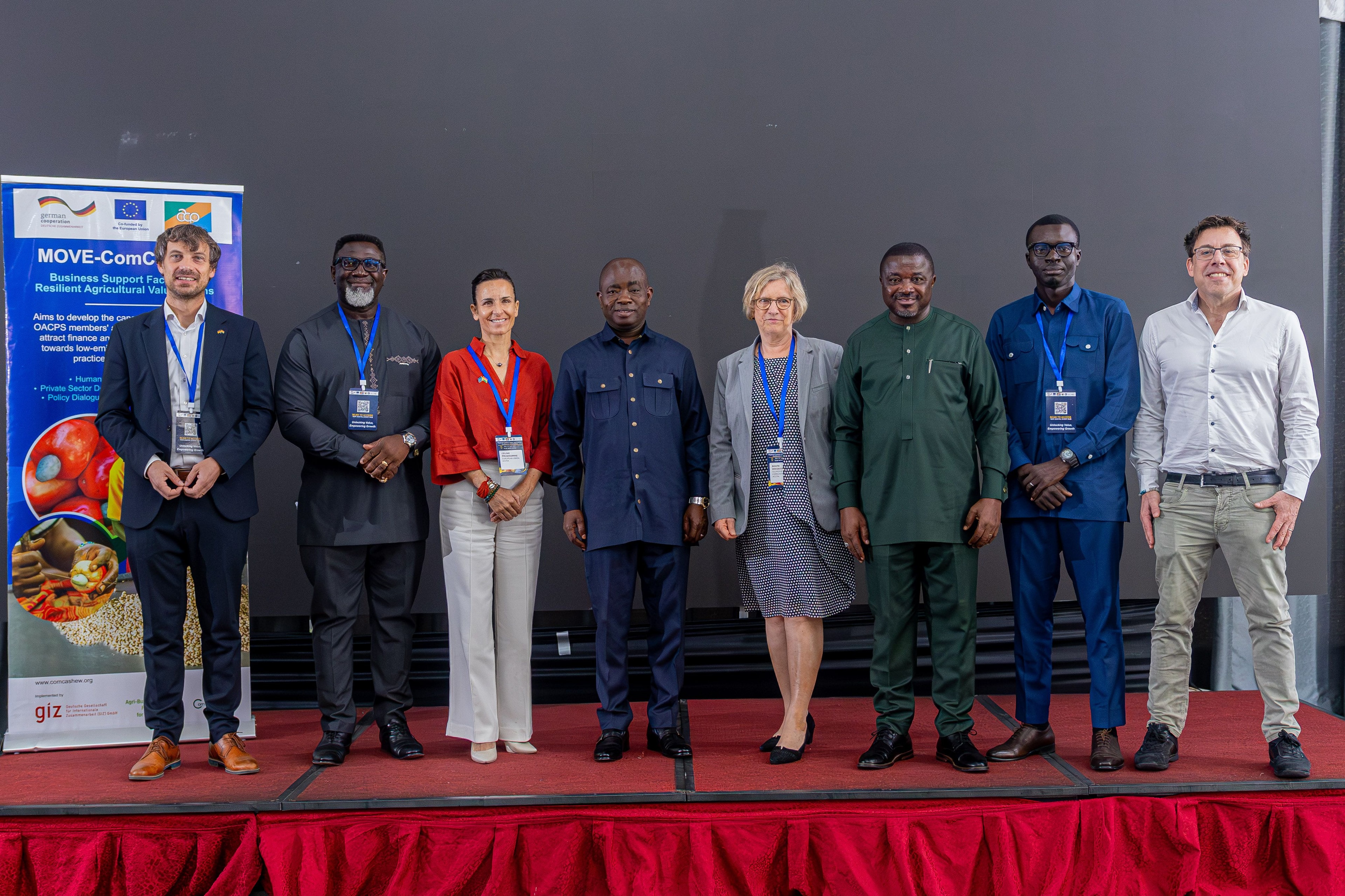 Gov’t targets cashew apple processing to deepen value addition