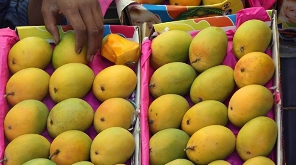 TCDA sets minimum producer price for fresh mango for 2026 major season