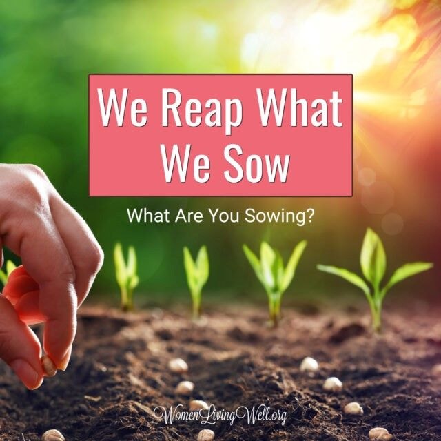 Sober reflections – you reap what you sow