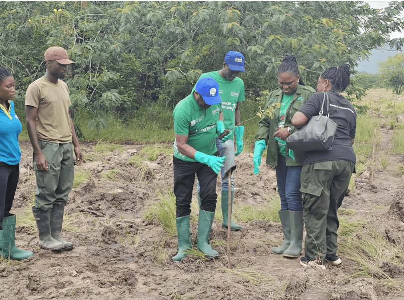 Ecobank plants 2,000 trees at Chipa Forest