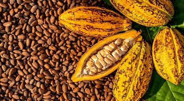 Market sees strong appetite for COCOBOD bond but pricing will be key