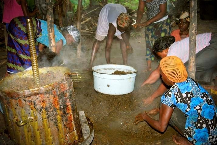 50% benchmark value policy on imports killing local oil palm sector