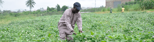 A COVID-19 ‘new deal’ for informal workers?