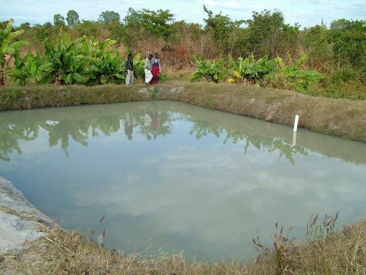 Fish farmers battle Newmont over compensation packages