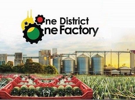 1D1F companies gets GH¢34m tax exemptions amid revenue shortfalls