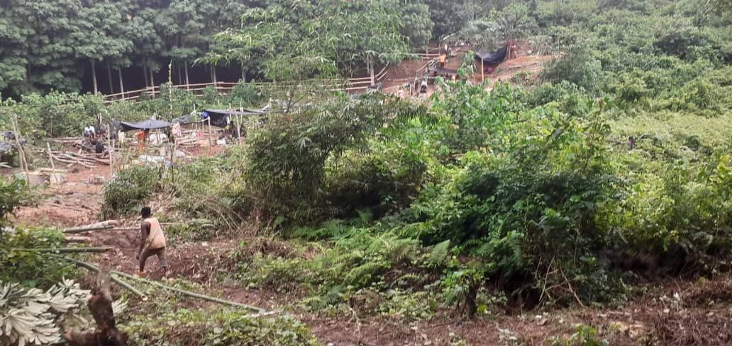 Editorial: GAWU appeals for President to salvage agricultural lands from destruction