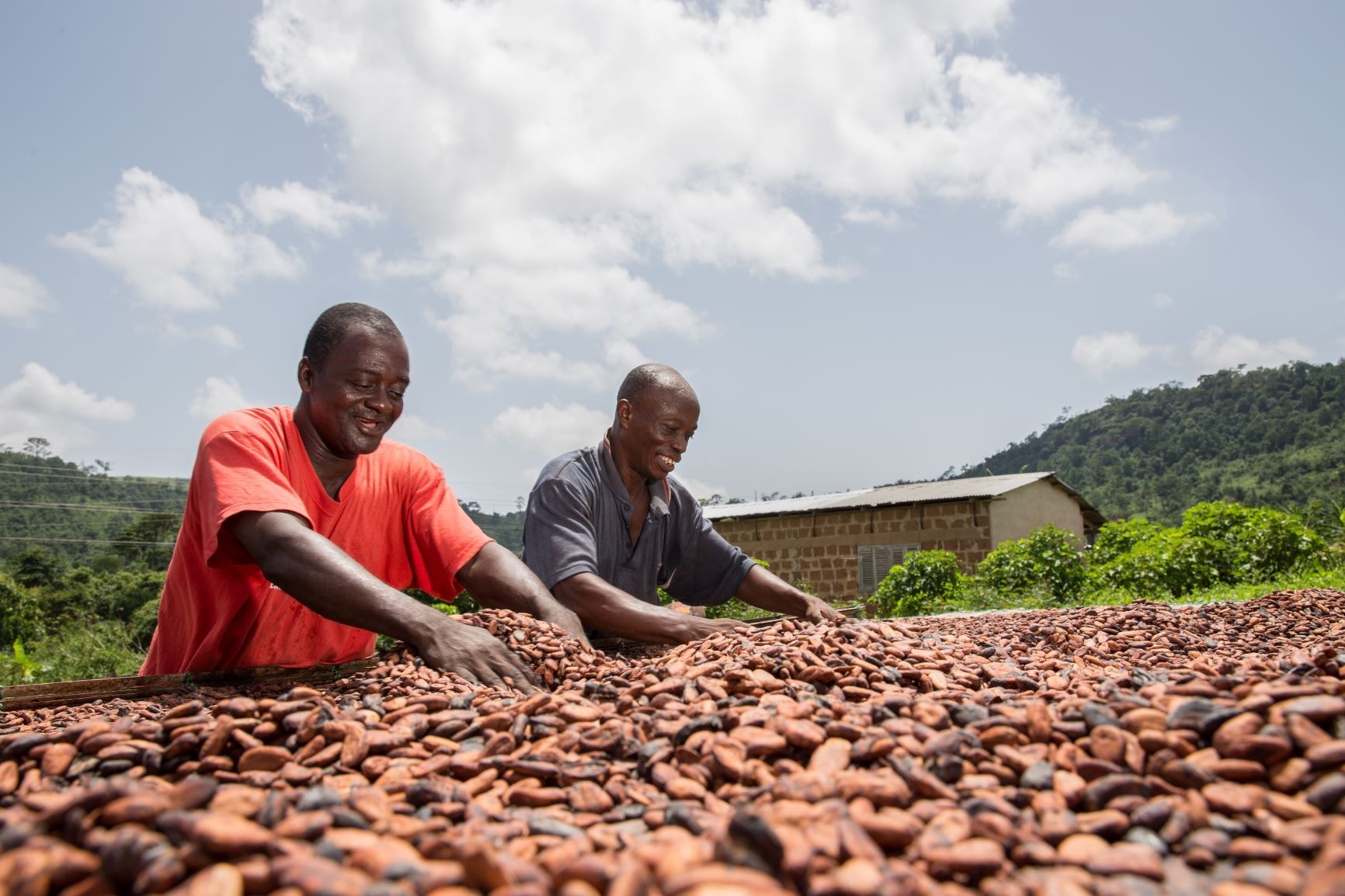 Cocoa value-chain remains critical to economy – UMB Boss