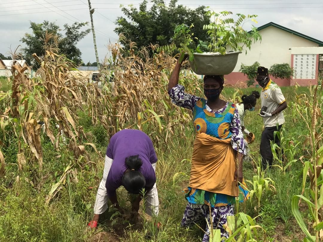 GTA embarks on tree planting exercise at Yumba Special School