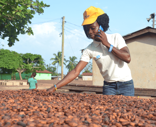 Creating credit opportunities for rural farmers
