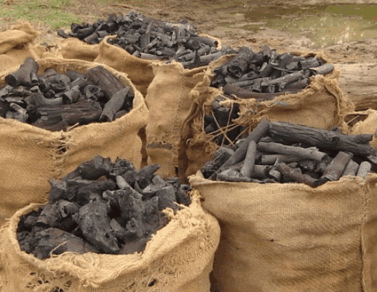 Charcoal imports on the rise …consumers say imports are of better quality than locally-produced