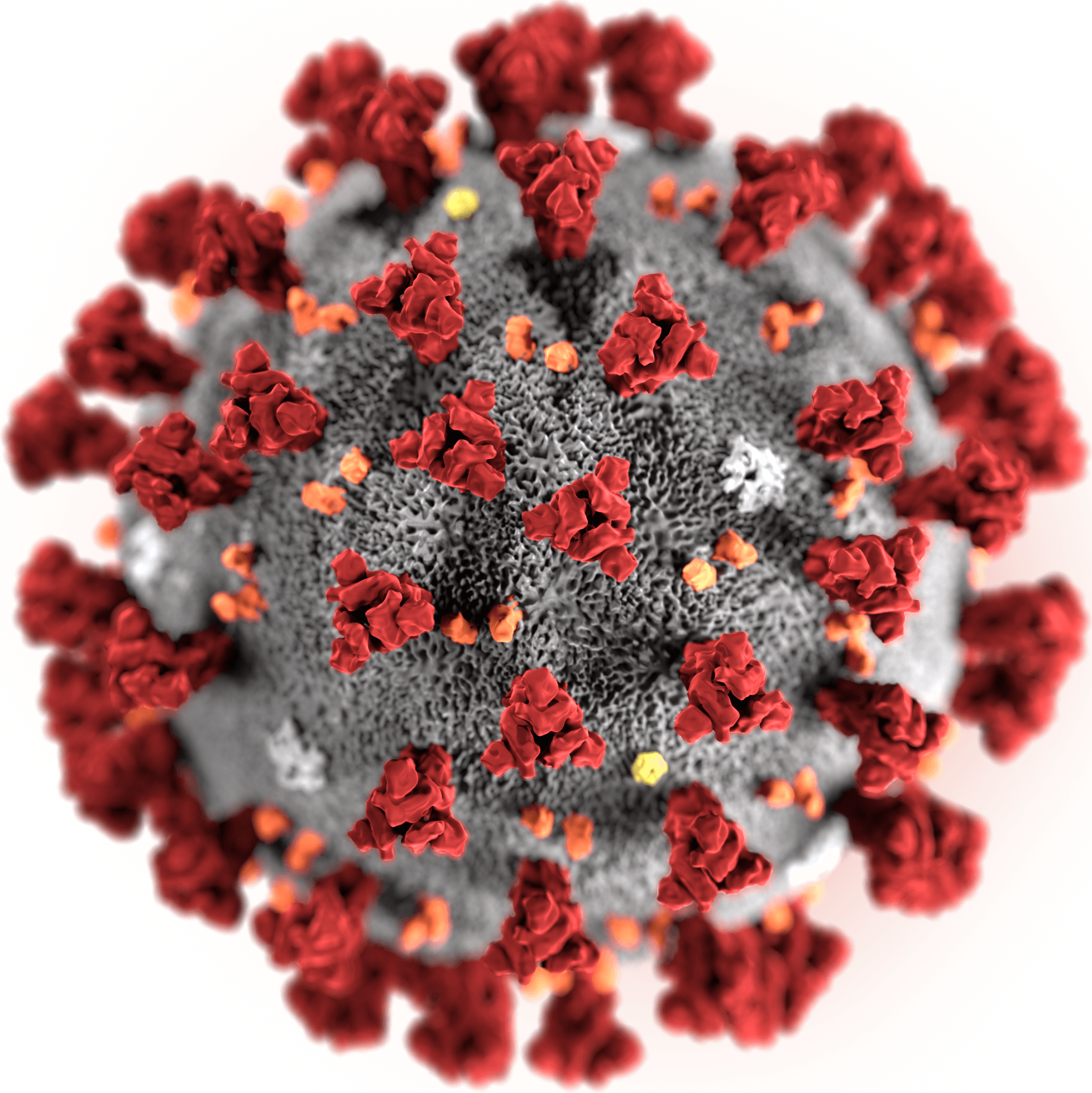 Coronavirus is helping African economies compete