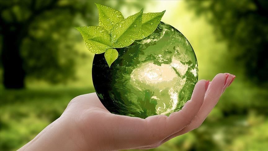 Green Recovery: an alternative for COVID-induced economic recession