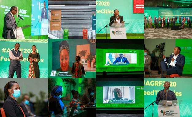 2020 AGRF Virtual Summit:  A call to action to use Africa’s strength to transform agriculture in COVID-19 era