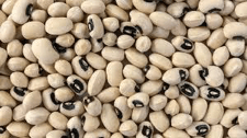First GMO cowpea seeds expected for 2021/22 season  … to reduce insecticide use and increase yield  