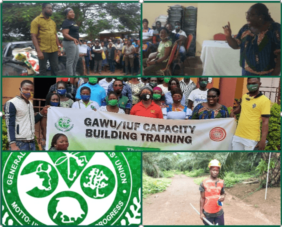 GAWU & our 60 years of promoting decent work in agriculture