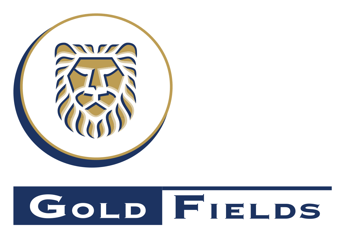 Metallurgy Manager of Gold Fields’ Damang Mine named Female Mining Professional of the Year