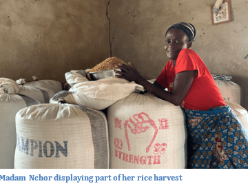 Good agronomic practice improves livelihoods of farmers in Tono