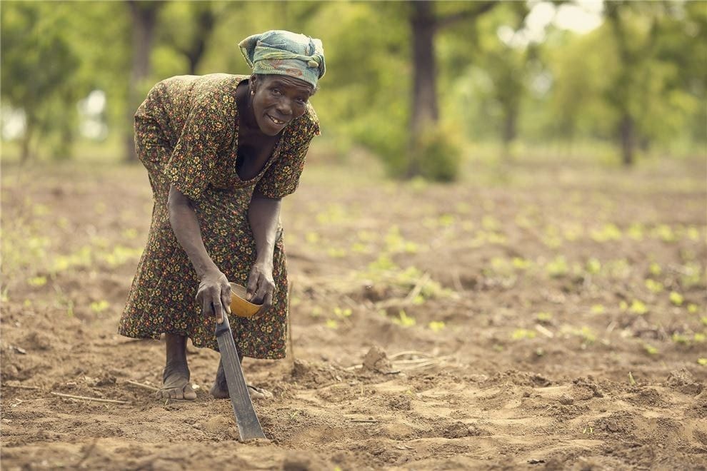 Food security, agriculture, AfCFTA crucial for Africa’s post-COVID-19 recovery - African Economic Conference