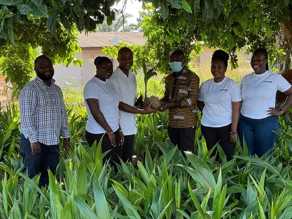 GEPA distributes 400,000 coconuts seedlings to farmers