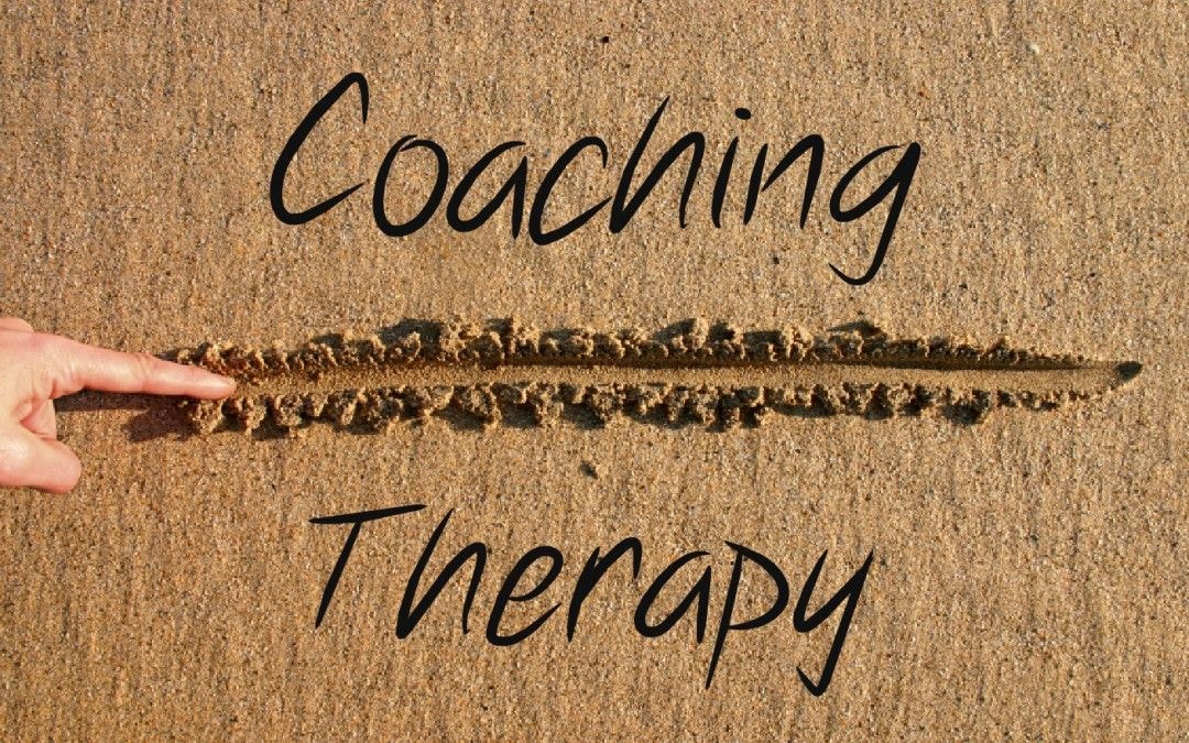 Sybil Shaibu column: Life Coach or Therapist? Part one