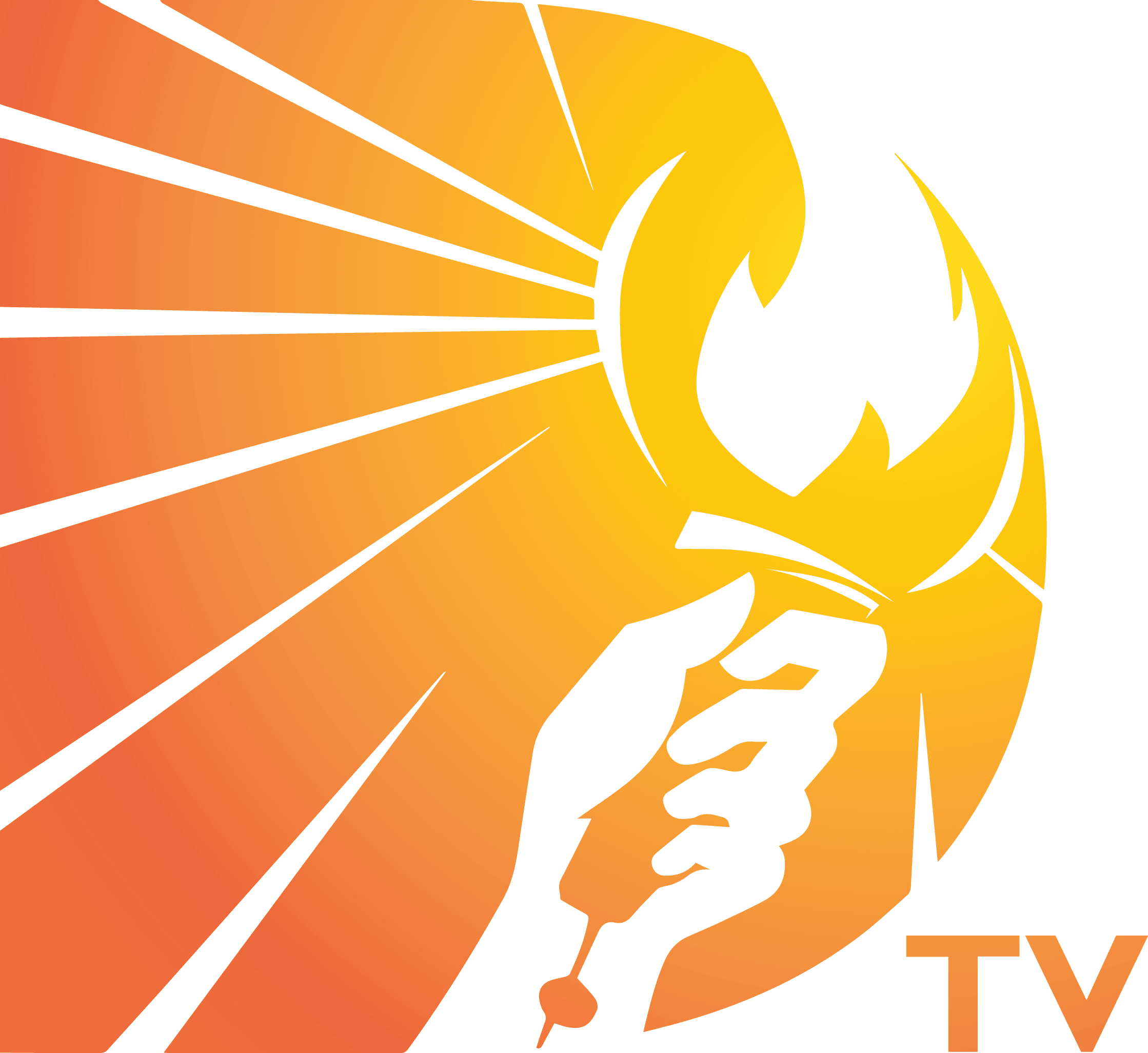 Dominion TV channel reviewed for better viewing experience