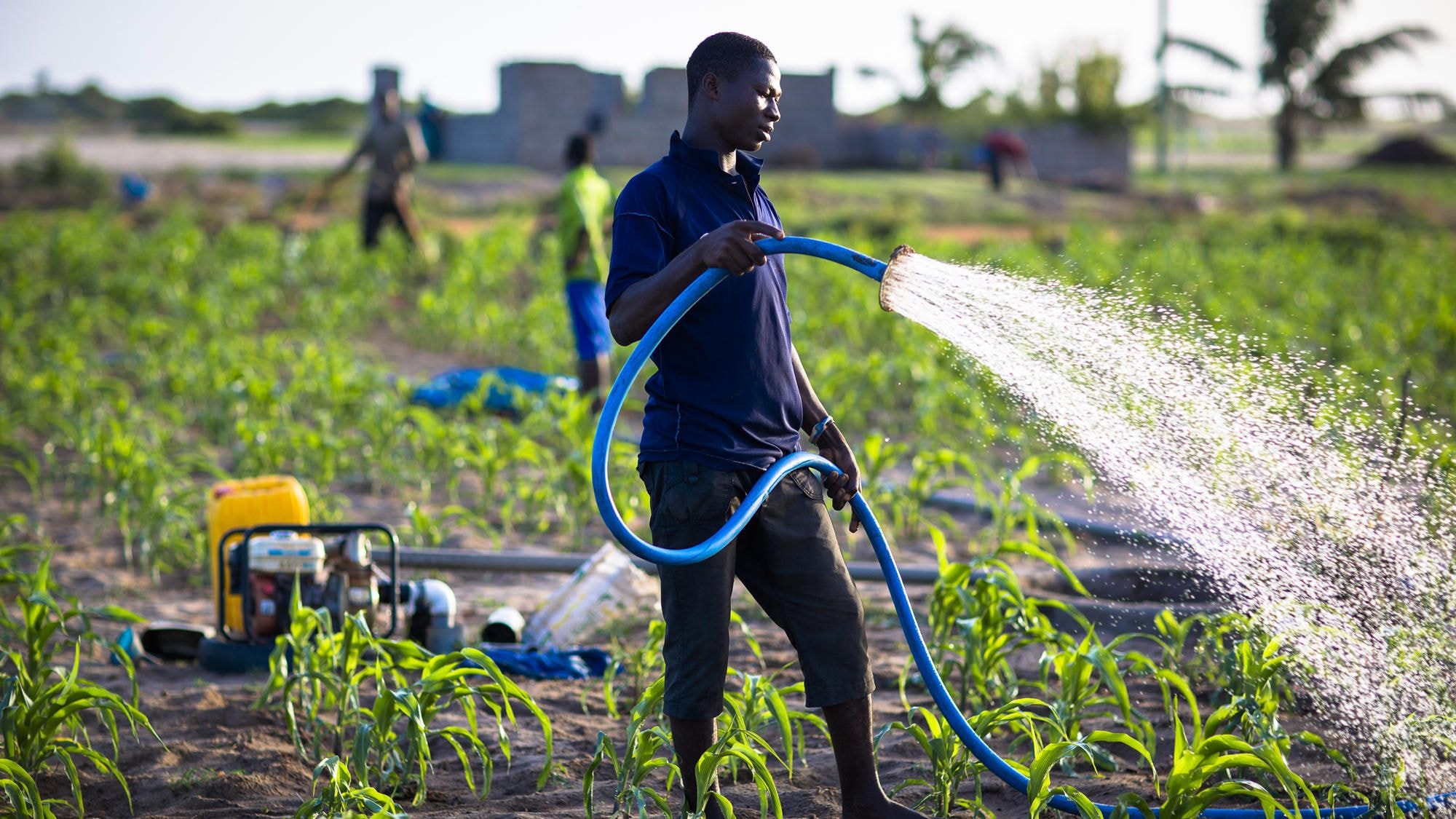 Gov’t releases subsidised farm inputs to farmers