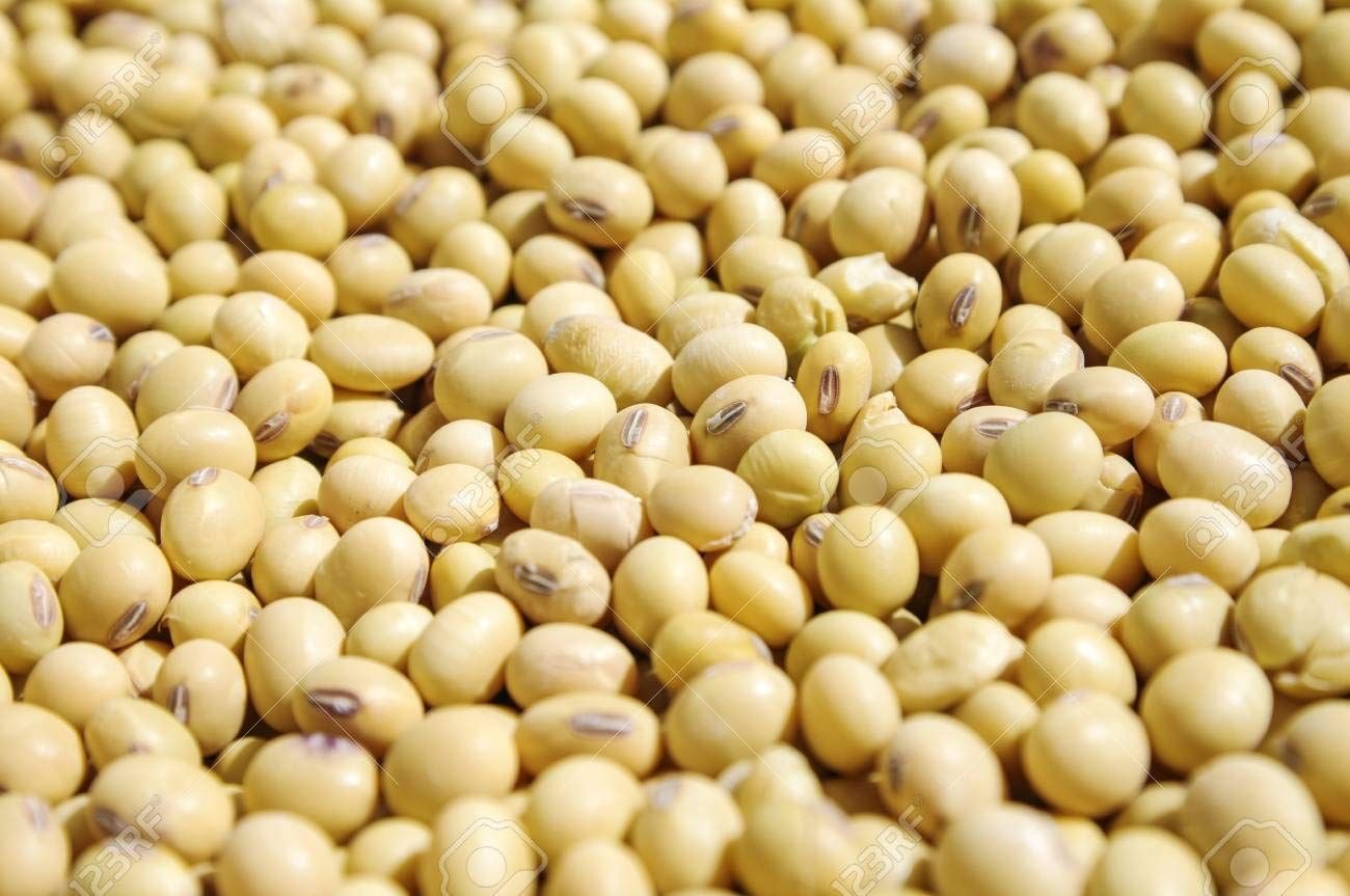 Economic opportunities in the trade of soya