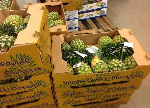 Restore our export licences or we go through Lome  – Fruit exporters to GPHA