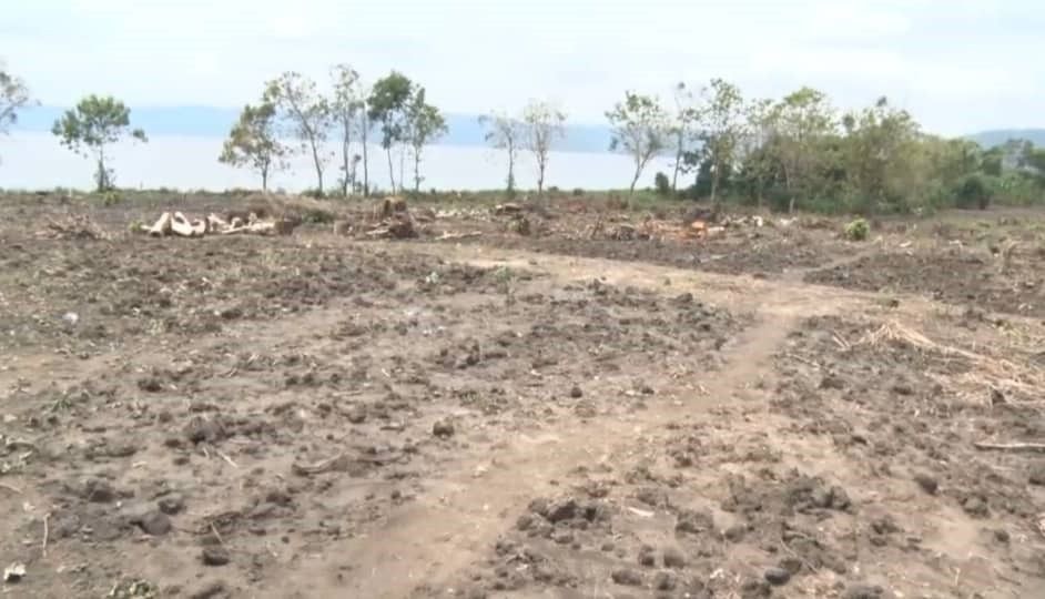 Destroyers of trees around Lake Bosomtwe won’t go unpunished’
